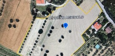 TERRENO AGRICOLO